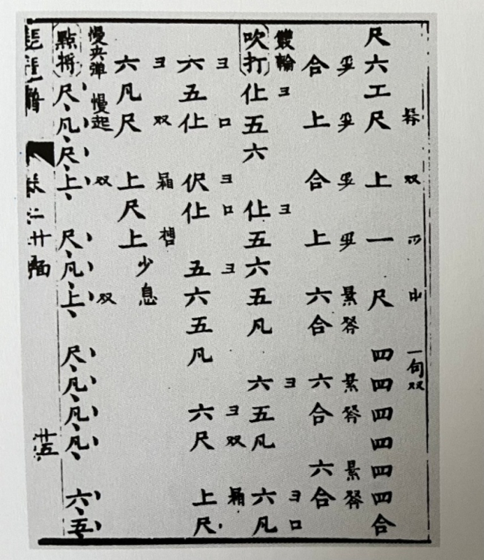 Figure 10 - Extrait de la Notation pour luth pipa (Pipa Pu 琵琶谱)